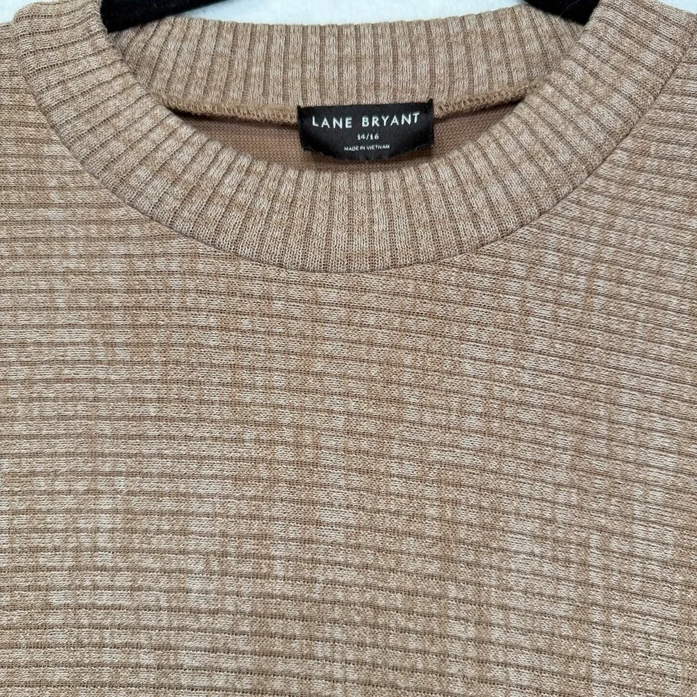 Lane Bryant Brown Crew Neck Tight Knit Sweater Dolman Sleeves Plus Size 14/16